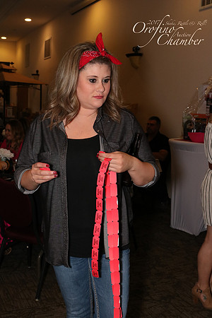 Orofino Idaho Event Photographer