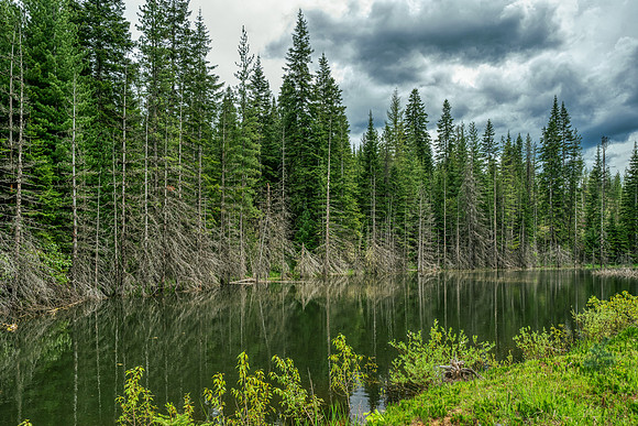 Orofino Idaho Commercial Photography